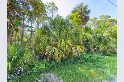 1149 W Pine Ave, Saint George Island, FL 32328 - Photo 10