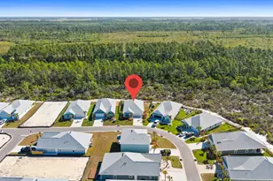 425 Vermilion Cir, Port Saint Joe, FL 32456 - Photo 54