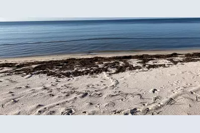 3092 Hwy 98 E, Carrabelle, FL 32323 - Photo 4