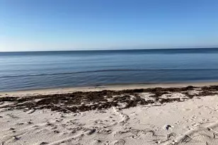 3092 Hwy 98 E, Carrabelle, FL 32323 - Photo 4