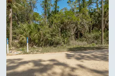 673 E Pine Ave, Saint George Island, FL 32328 - Photo 2
