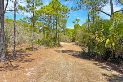 1721 E Gulf Beach Dr, Saint George Island, FL 32328 - Photo 22
