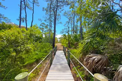 1721 E Gulf Beach Dr, Saint George Island, FL 32328 - Photo 12