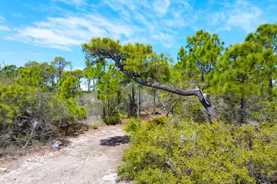 1721 E Gulf Beach Dr, Saint George Island, FL 32328 - Photo 6