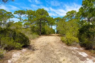 1721 E Gulf Beach Dr, Saint George Island, FL 32328 - Photo 8
