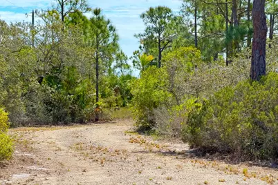 1721 E Gulf Beach Dr, Saint George Island, FL 32328 - Photo 2