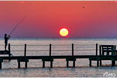 331 Bradford St #5, Saint George Island, FL 32328 - Photo 86