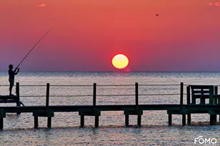 331 Bradford St, Saint George Island, FL 32328 - Photo 86