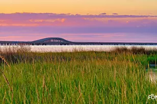 331 Bradford St, Saint George Island, FL 32328 - Photo 84