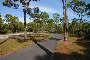 2144 Sea Fern Way, Saint George Island, FL 32328 - Photo 48