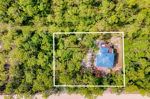 825 E Pine Ave, Saint George Island, FL 32328 - Photo 58