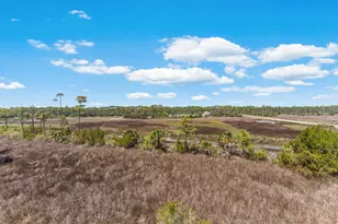 125 Painted Pony Rd, Port Saint Joe, FL 32456 - Photo 56