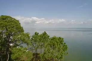 335 E Sawyer St, Saint George Island, FL 32328 - Photo 28