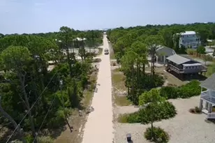 335 E Sawyer St, Saint George Island, FL 32328 - Photo 22