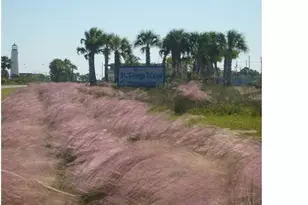 335 E Sawyer St, Saint George Island, FL 32328 - Photo 16
