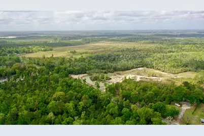 2771 Hwy 71 S, Wewahitchka, FL 32465 - Photo 22