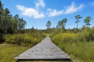214 Lake McKissack Ln, Carrabelle, FL 32322 - Photo 34