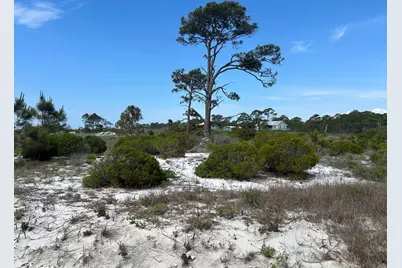 114 Cocina Rd, Carrabelle, FL 32322 - Photo 4