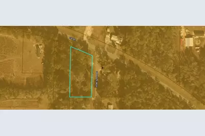 580 Cr- 381, Wewahitchka, FL 32465 - Photo 2