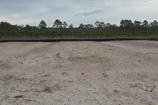 1073 Backwater Rd, Port Saint Joe, FL 32456 - Photo 2