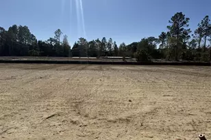 296 Vermilion Cir, Port Saint Joe, FL 32456 - Photo 2