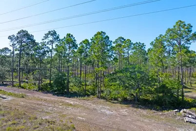 9103 Cr 30-A, Port Saint Joe, FL 32456 - Photo 8
