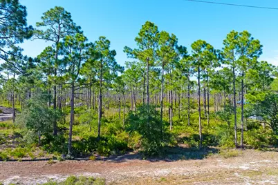 9103 Cr 30-A, Port Saint Joe, FL 32456 - Photo 2