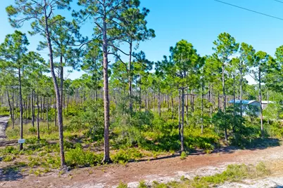 9103 Cr 30-A, Port Saint Joe, FL 32456 - Photo 12