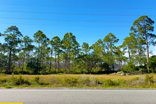 9103 Cr 30-A, Port Saint Joe, FL 32456 - Photo 1
