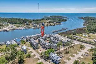 369 Pirates Landing Dr, Carrabelle, FL 32322 - Photo 46
