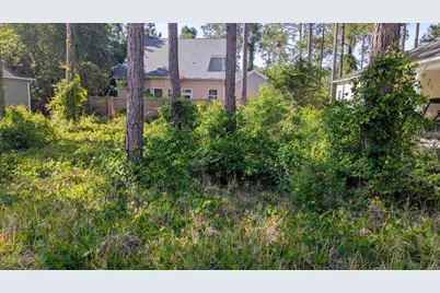 122 Skimmer Dr, Carrabelle, FL 32322 - Photo 2