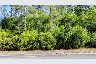 122 Skimmer Dr, Carrabelle, FL 32322 - Photo 4