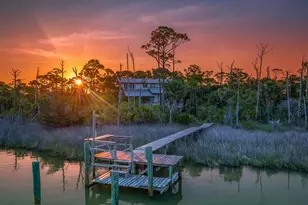 1915 Smugglers Cove Rd, Saint George Island, FL 32328 - Photo 1