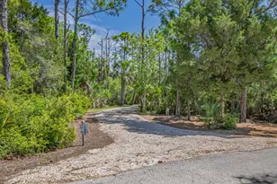 1915 Smugglers Cove Rd, Saint George Island, FL 32328 - Photo 2