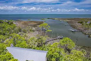 1915 Smugglers Cove Rd, Saint George Island, FL 32328 - Photo 20