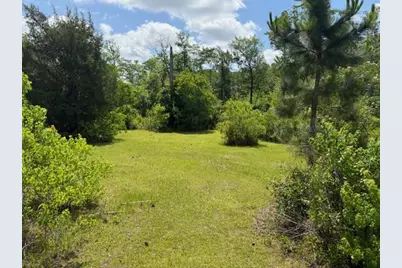 2847 SE Adams St, Kinard, FL 32449 - Photo 18