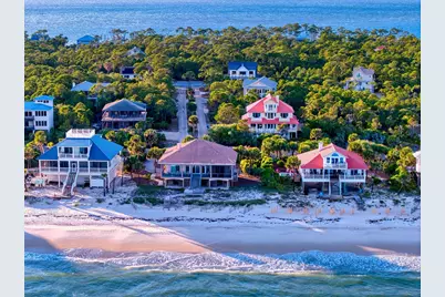 2020 Whelk Way, Saint George Island, FL 32328 - Photo 46