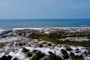 364 Salt Creek Ln, Mexico Beach, FL 32456 - Photo 36
