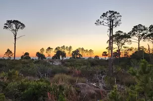 342 Sea Grv Wy, Port Saint Joe, FL 32456 - Photo 40