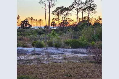 342 Sea Grove Way, Port Saint Joe, FL 32456 - Photo 52