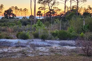 342 Sea Grv Wy, Port Saint Joe, FL 32456 - Photo 52