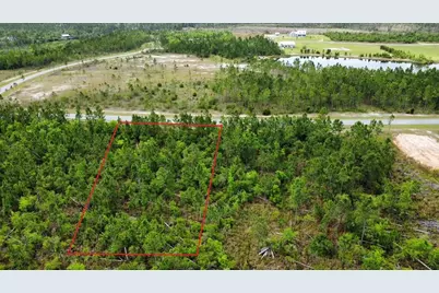 103 Torrey Pine Trl, Wewahitchka, FL 32465 - Photo 1