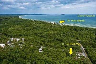 133 Fishhook Way, Saint Teresa, FL 32358 - Photo 12
