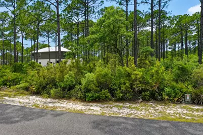 133 Fishhook Way, Saint Teresa, FL 32358 - Photo 2