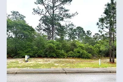 126 Anhinga Trl, Carrabelle, FL 32323 - Photo 2