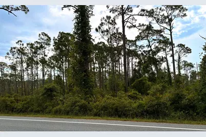 Tbd Sr 30-A, Port Saint Joe, FL 32456 - Photo 2