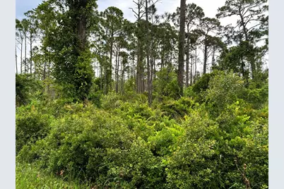 Tbd Sr 30-A, Port Saint Joe, FL 32456 - Photo 4