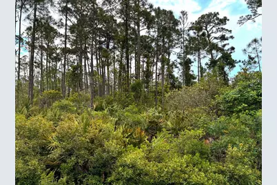 Tbd Sr 30-A, Port Saint Joe, FL 32456 - Photo 6