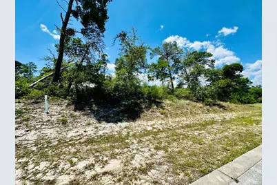 183 Lakes On The Bluff Dr, Eastpoint, FL 32328 - Photo 6