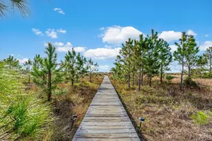 149 Boardwalk Ave, Cape San Blas, FL 32456 - Photo 62
